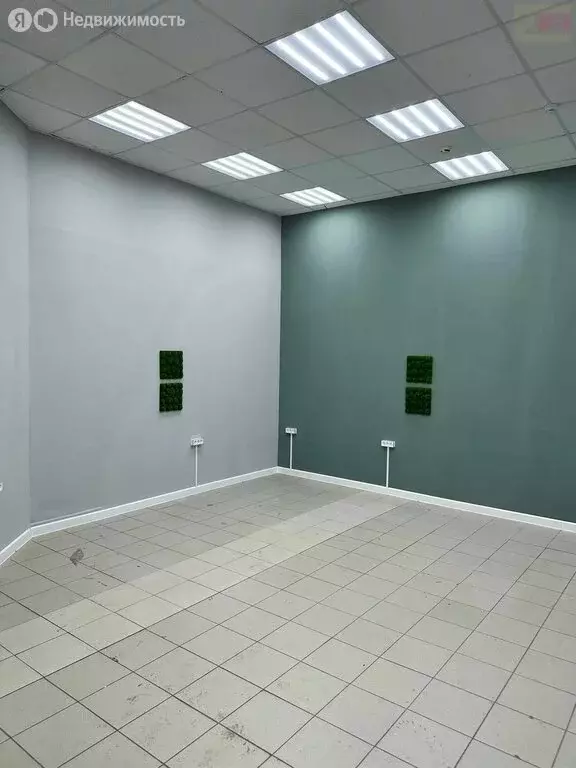 Помещение свободного назначения (30 м) - Фото 2