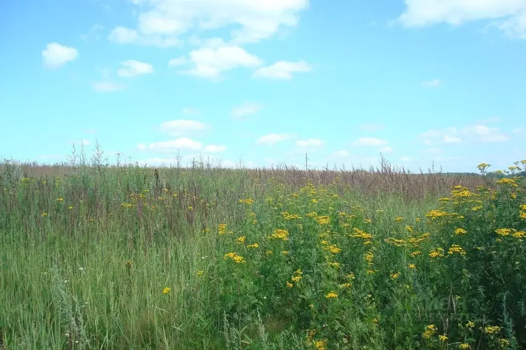 Участок в Смоленская область, Смоленский муниципальный округ, д. ... - Фото 2