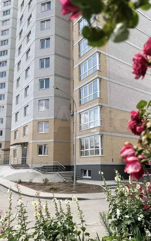 1-к. квартира, 53,7 м, 10/16 эт. - Фото 0