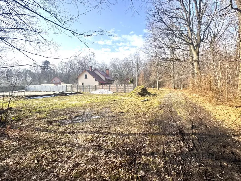 Участок в Калининградская область, Калининград Дивное СНТ,  (7.65 ... - Фото 2