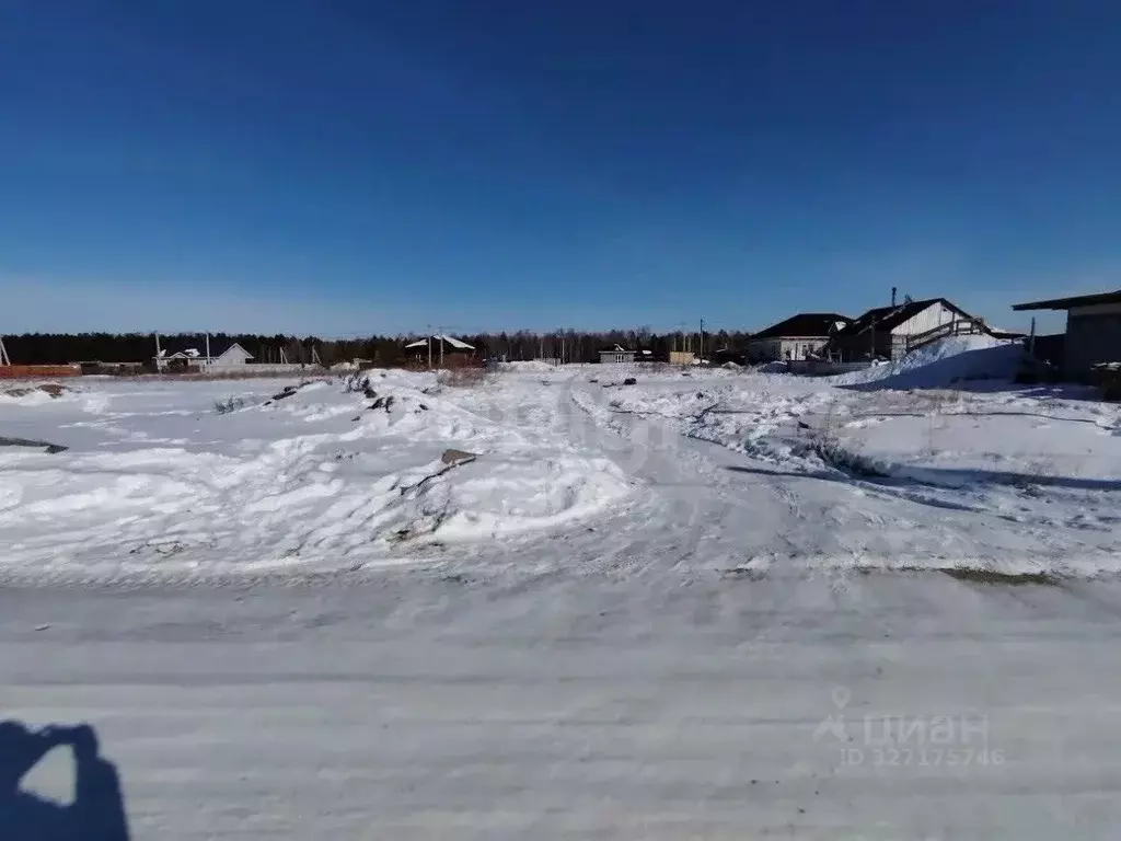 Участок в Амурская область, Благовещенский район, пос. Вадимово ул. ... - Фото 1