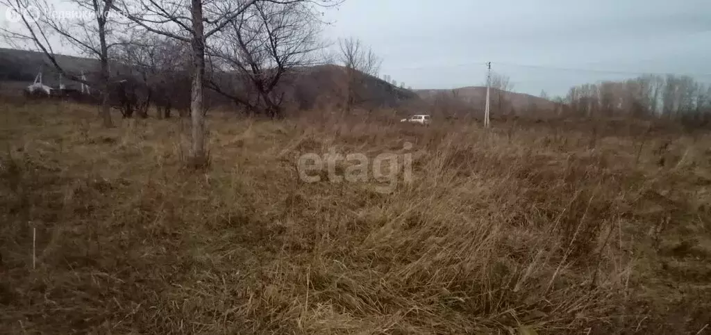 Участок в Алтайский район, село Ая (23.4 м) - Фото 0