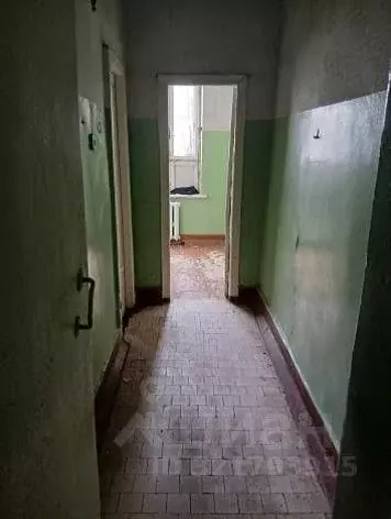 Помещение свободного назначения в Воронежская область, Воронеж ул. ... - Фото 1