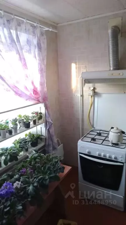 3-к кв. Челябинская область, Зауральское городское поселение, ... - Фото 1