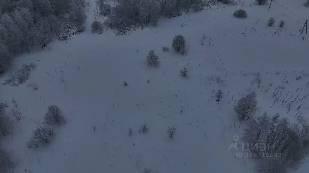 Участок в Московская область, Волоколамский муниципальный округ, д. ... - Фото 2