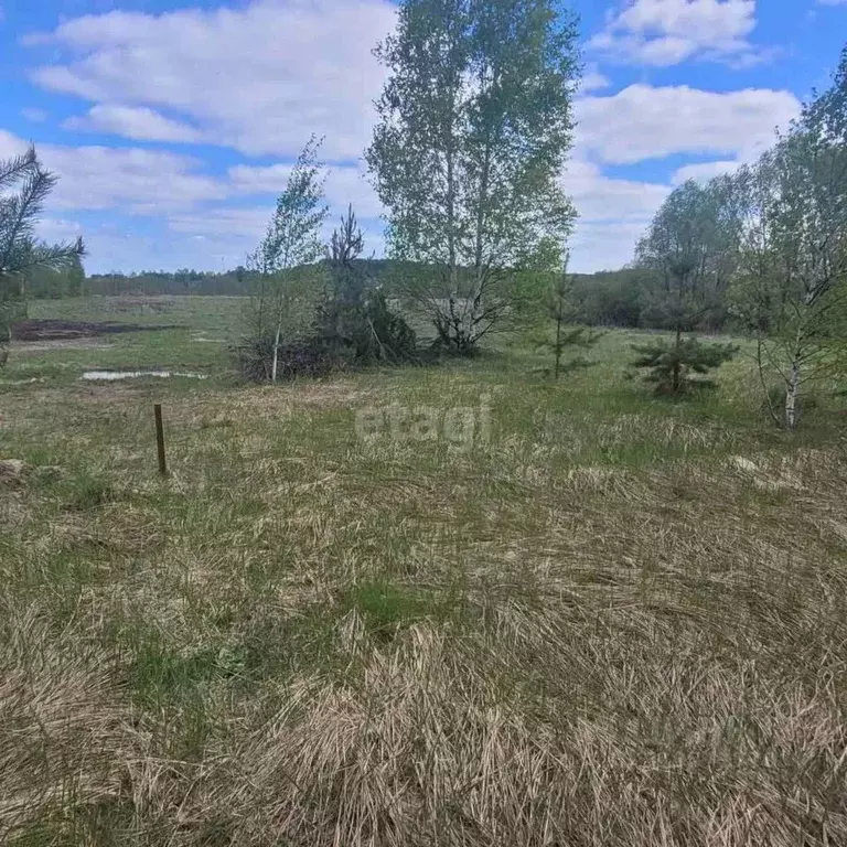 Участок в Владимирская область, Муром д. Коржавино, ул. Рублевая ... - Фото 1