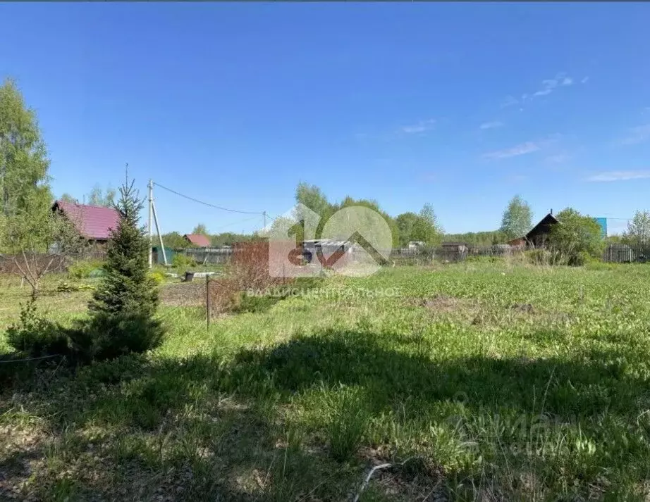 Участок в Новосибирская область, Бердск Ива СНТ, ул. 15-я, 31 (7.7 ... - Фото 1