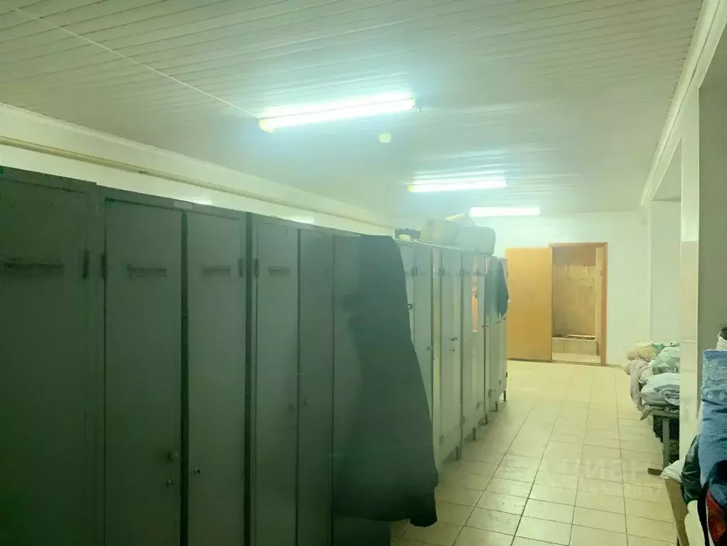 Помещение свободного назначения в Курская область, Курск ул. Пионеров, ... - Фото 1