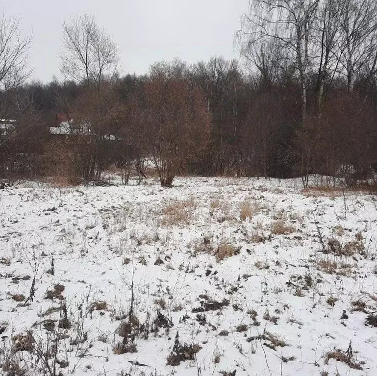 Участок в Московская область, Ступино городской округ, д. Колдино ул. ... - Фото 1