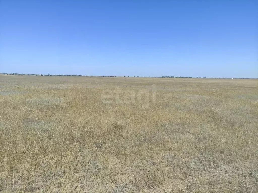 Участок в Крым, Раздольненский район, Кукушкинское с/пос, с. Кукушкино ... - Фото 1
