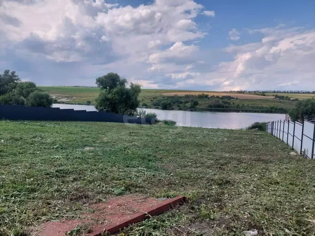 Участок в Белгородская область, Корочанский район, Большехаланское ... - Фото 1