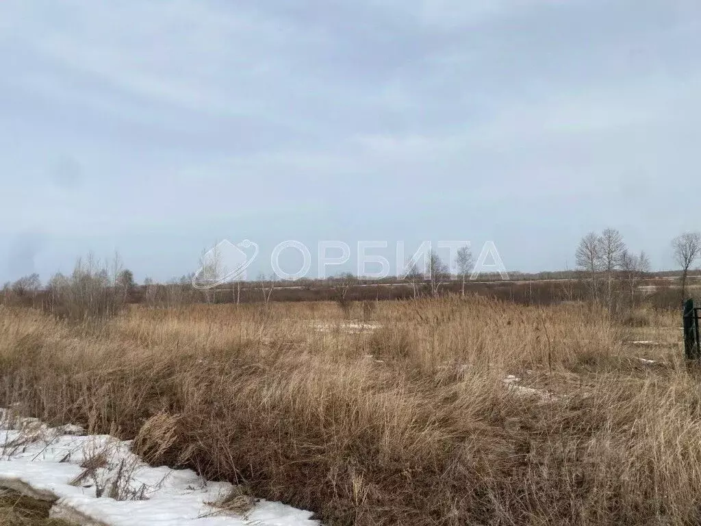 Участок в Тюменская область, Тюменский район, д. Криводанова  (7.46 ... - Фото 1