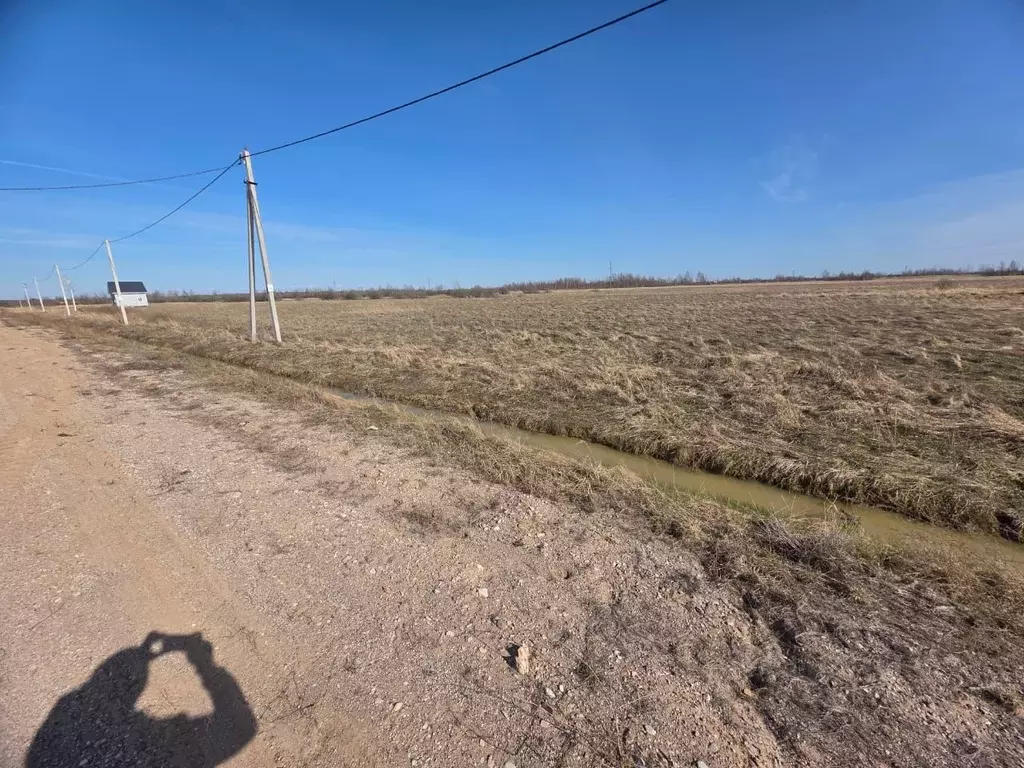Участок в Новгородская область, Новгородский район, Борковское с/пос, ... - Фото 1