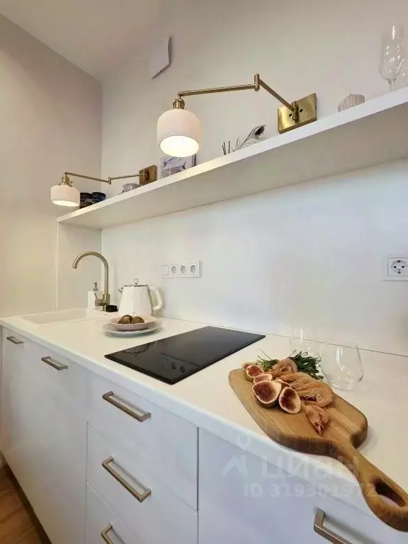 1-к кв. Краснодарский край, Новороссийск ул. Куникова, 47Г (24.0 м) - Фото 2