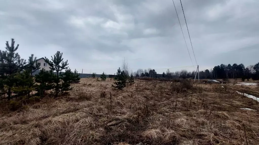 Участок в Владимирская область, Карабаново г. Александровский ... - Фото 1