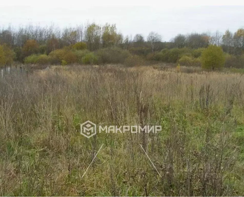 Участок в Челябинская область, Еткульский муниципальный округ, с. ... - Фото 1