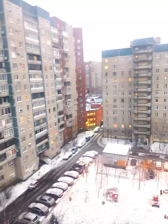 2-к кв. Санкт-Петербург ул. Коллонтай, 14К4 (50.8 м) - Фото 2