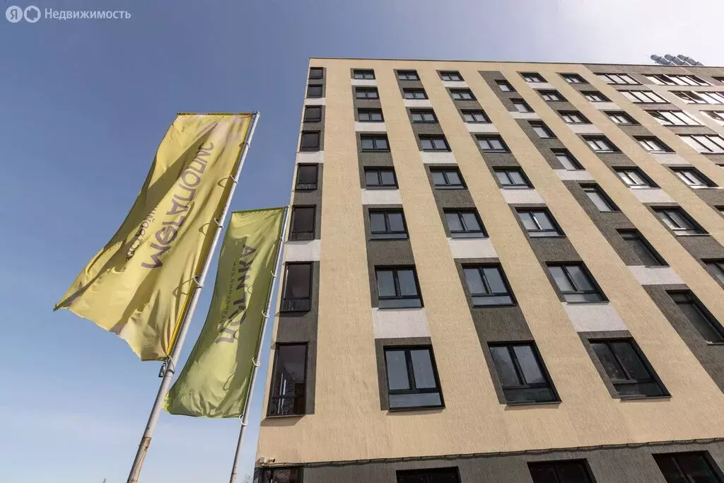 1-комнатная квартира: Пермь, улица Лифанова, 38 (31.9 м) - Фото 2