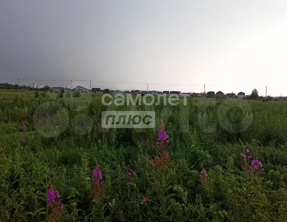 Участок 10,5 сот. (ИЖС) - Фото 0