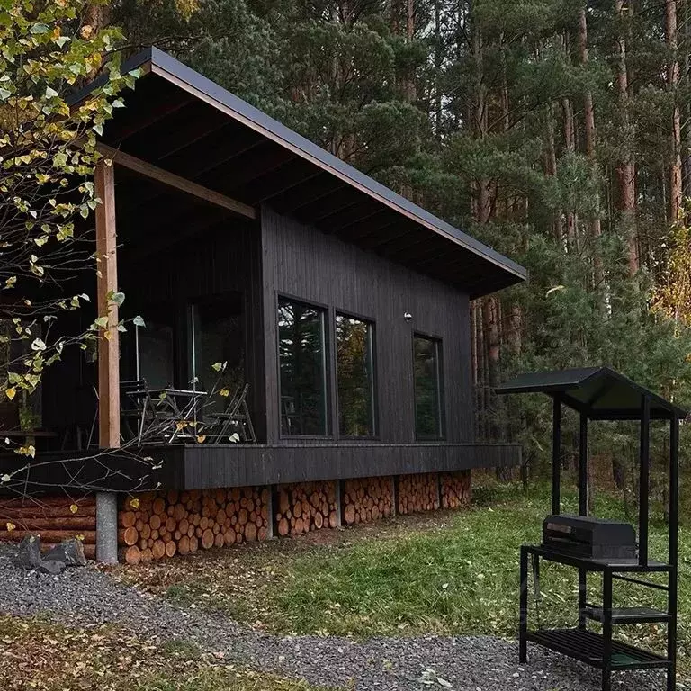 Дом в Красноярский край, Дивногорск городской округ, пос. Манский ул. ... - Фото 2