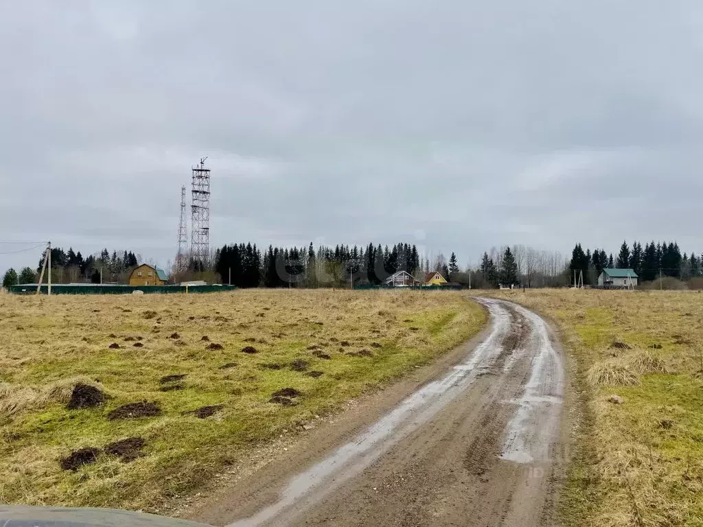 Участок в Псковская область, Печоры Вишенка садовое товарищество,  ... - Фото 1