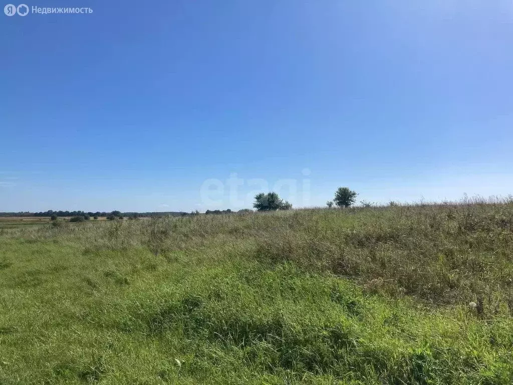 Участок в Калининградская область, Зеленоградский муниципальный округ, ... - Фото 1