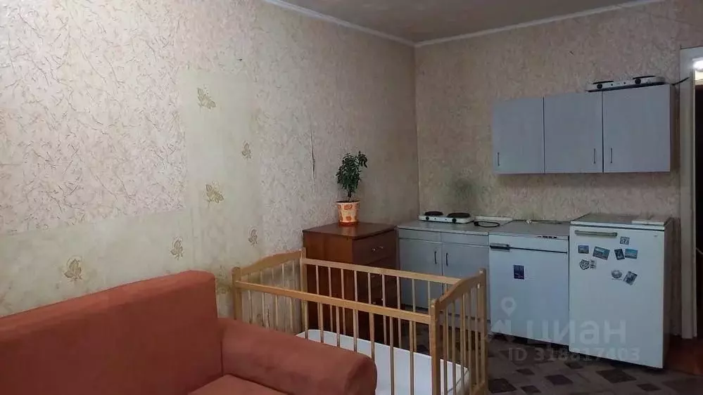 Студия Омская область, Омск ул. Попова, 3к1 (23.0 м) - Фото 1