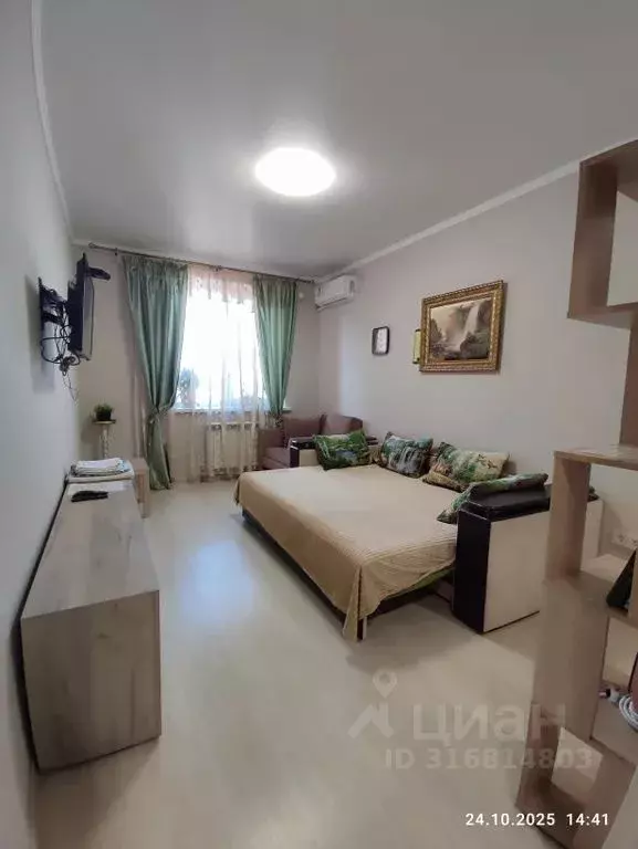 1-к кв. Ростовская область, Ростов-на-Дону ул. 1-й Конной Армии, 13В ... - Фото 1