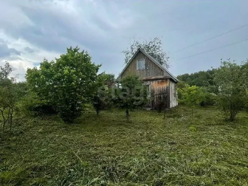 Участок в Кировская область, Киров Имени 40 лет Октября СДТ,  (4.5 ... - Фото 1