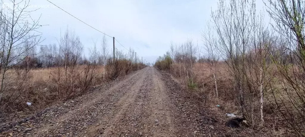 Участок в Приморский край, Арсеньев (721 м) - Фото 2