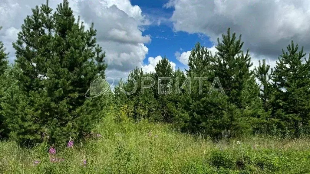 Участок в Тюменская область, Тюменский район, Новокаменский кп  (6.0 ... - Фото 0