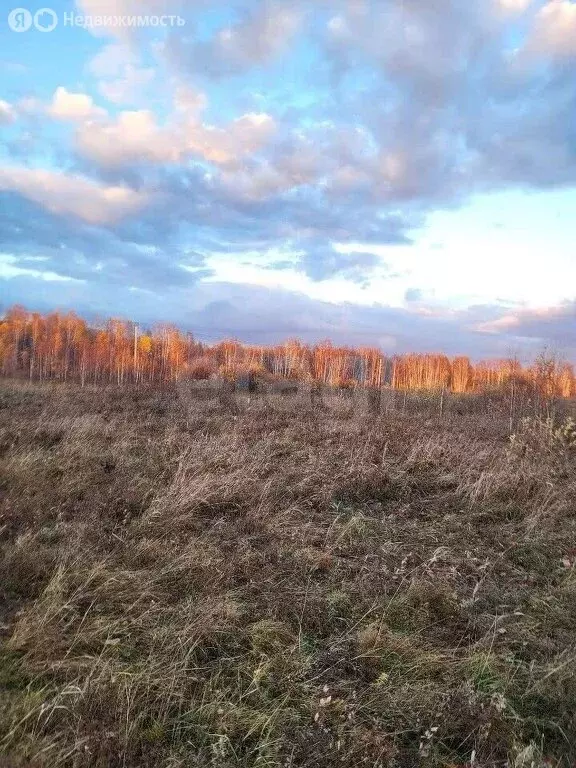 Участок в Нижнетавдинский район, деревня Казанка (99 м) - Фото 1