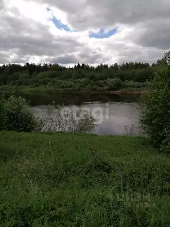 Участок в Новгородская область, Маловишерский район, Бургинское с/пос, ... - Фото 0