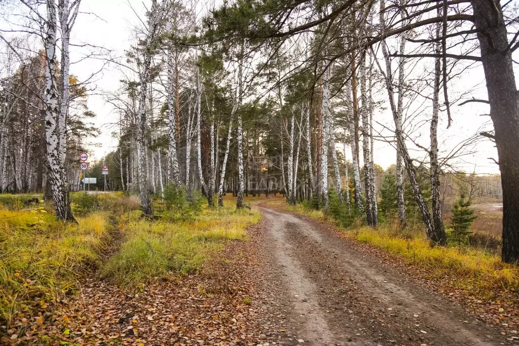 Участок в Тюменский муниципальный округ, деревня Криводанова, ... - Фото 1