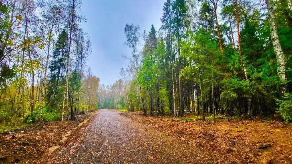 Участок в Московская область, Солнечногорск городской округ, д. ... - Фото 1