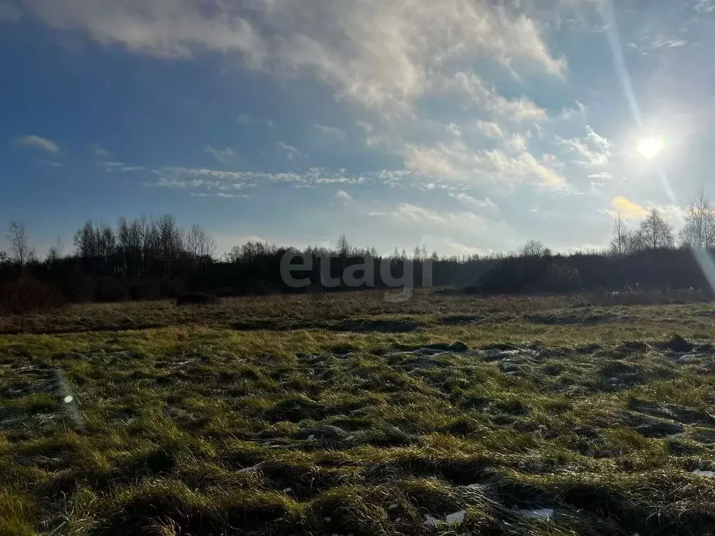 Участок в Псковская область, Псковский район, Писковичская волость, д. ... - Фото 1