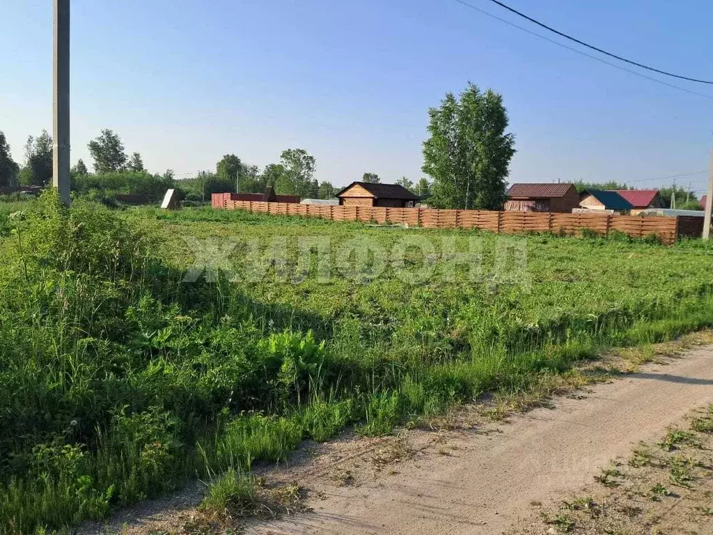 Участок в Новосибирская область, Коченевский район, Тальник СНТ  (10.5 ... - Фото 0
