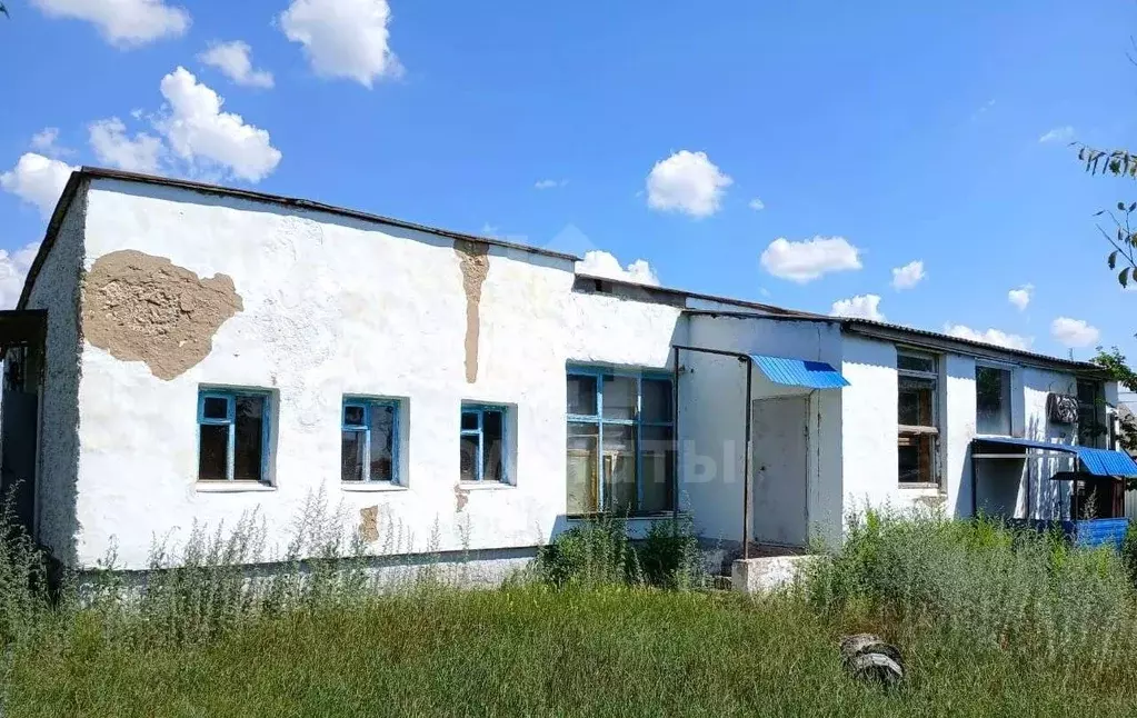 Помещение свободного назначения в Воронежская область, с. Репьевка ул. ... - Фото 2