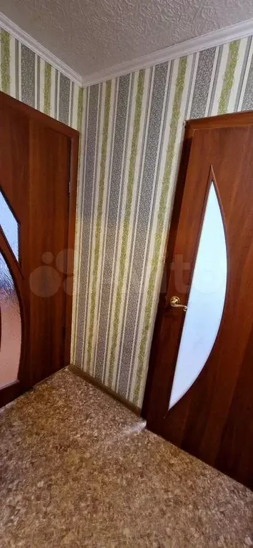 1-к. квартира, 31 м, 3/4 эт. - Фото 1
