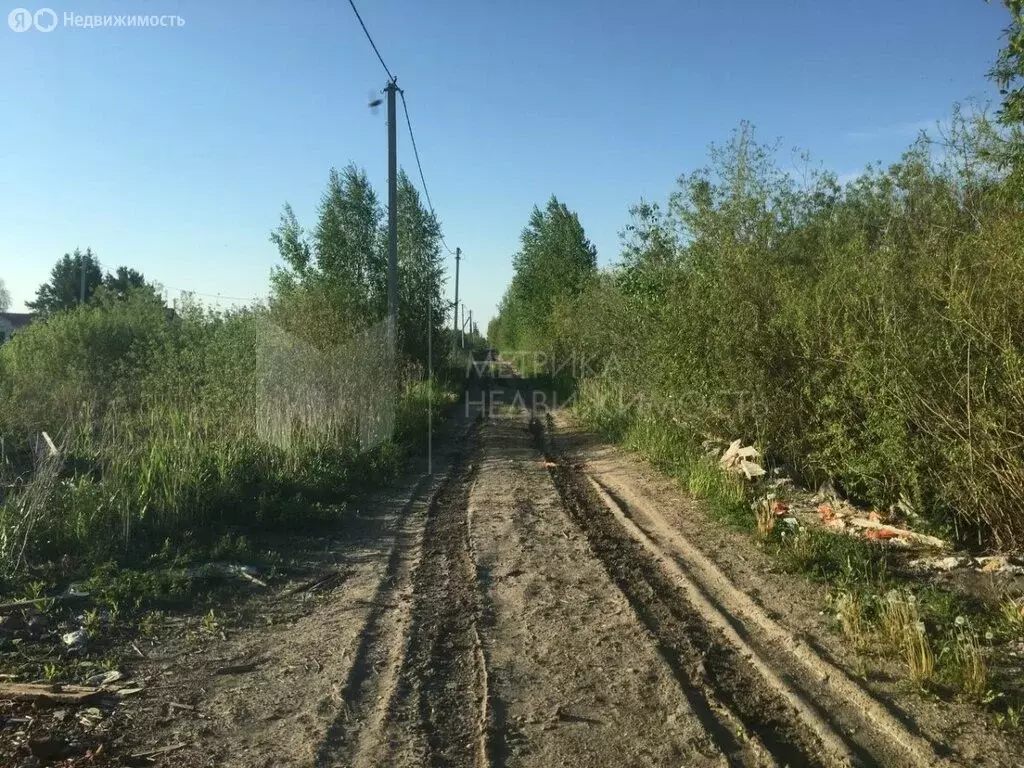 Участок в Тюмень, садовое товарищество Поле Чудес, Кукольный переулок, ... - Фото 1