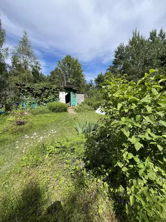 Дом в Ленинградская область, Лужский район, Мшинское с/пос, Сказка СНТ ... - Фото 2