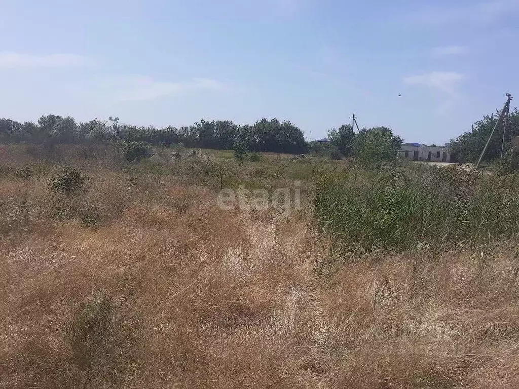 Участок в Крым, Сакский район, с. Молочное ул. Школьная (48.0 сот.) - Фото 1