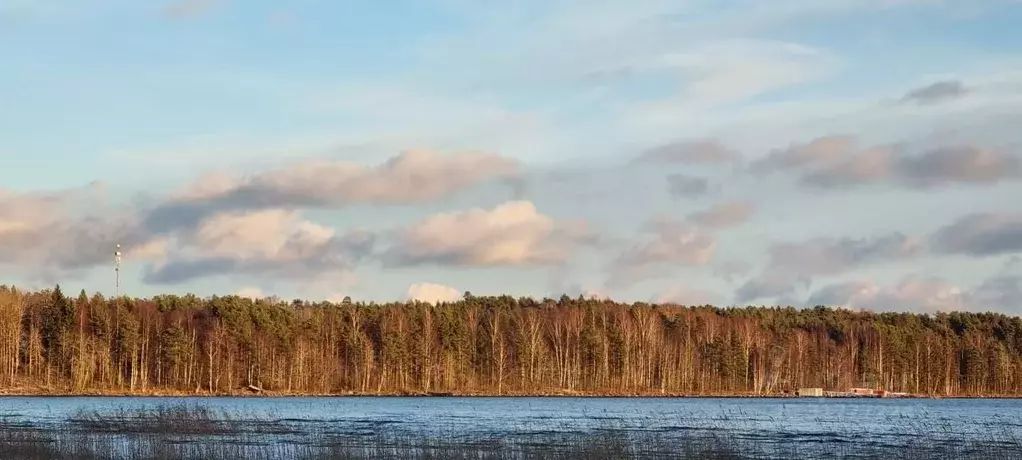 Участок в Карелия, Прионежский район, Заозерское с/пос, Онежские Зори ... - Фото 0