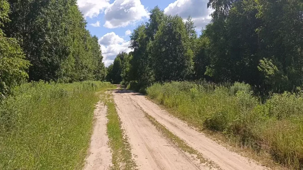 Участок в Нижегородская область, Бор ул. Максимова, 22 (10000.0 га.) - Фото 1