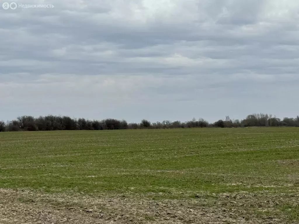 Участок в Калининградская область, Гурьевский муниципальный округ, ... - Фото 1