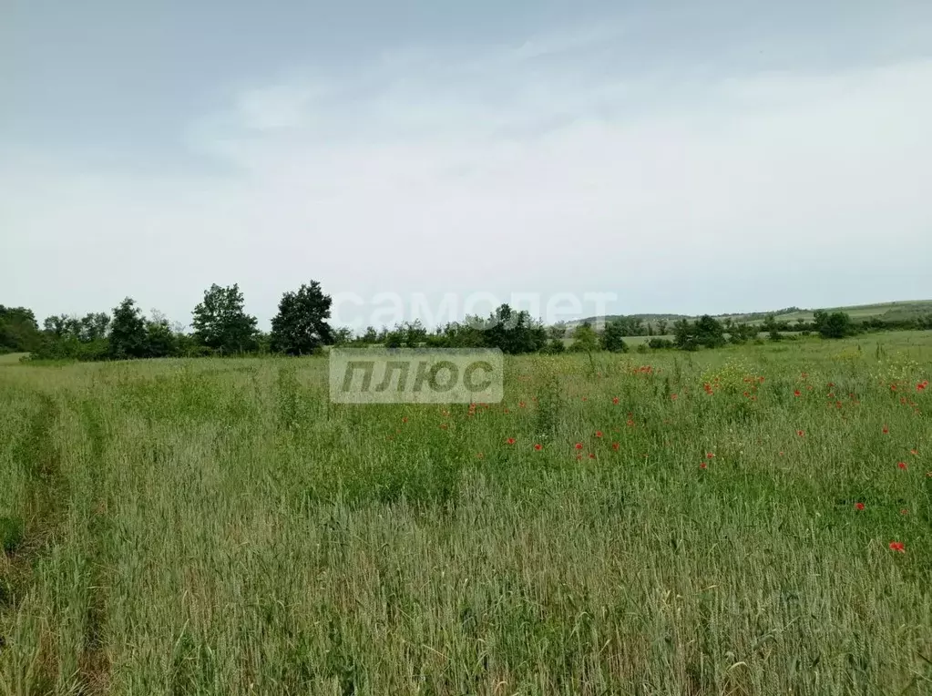 Участок в Краснодарский край, Анапа муниципальный округ, пос. ... - Фото 1