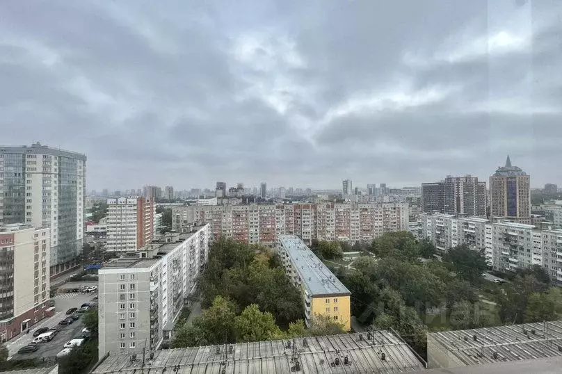 2-к кв. Новосибирская область, Новосибирск ул. Крылова, 64/1 (65.0 м) - Фото 2