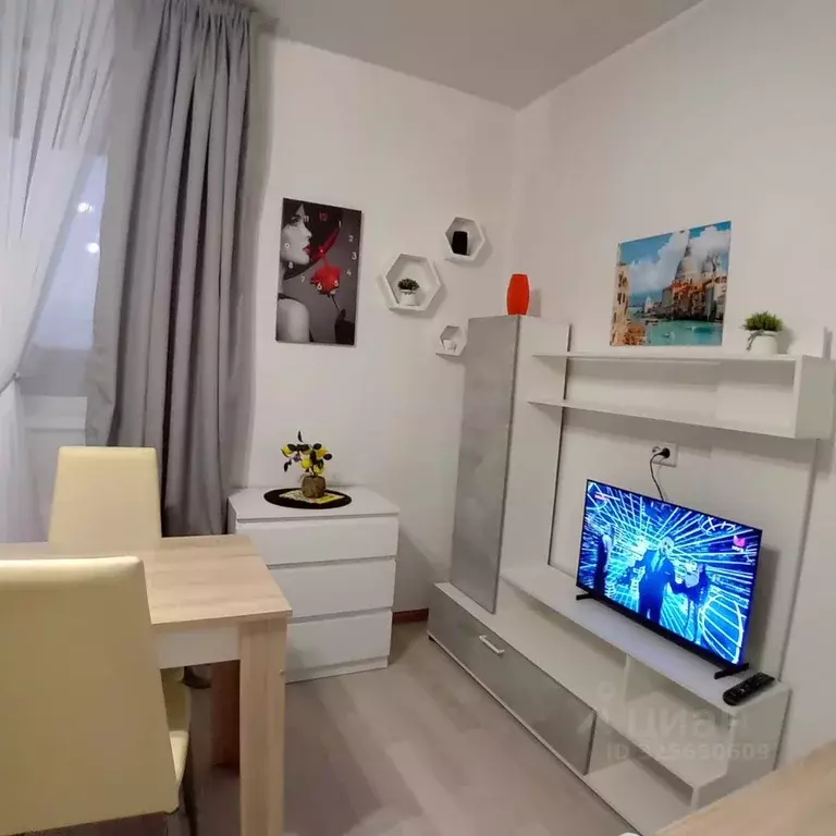 Студия Ленинградская область, Коммунар г. Гатчинский муниципальный ... - Фото 2