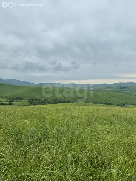 Участок в Алтайский район, ДНТ Жемчужина Алтая (13 м) - Фото 1