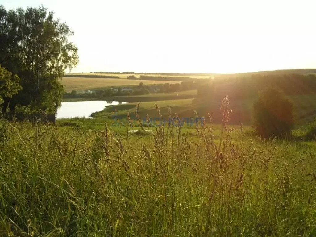 Участок в деревня Швариха, Дорожная улица (15 м) - Фото 2